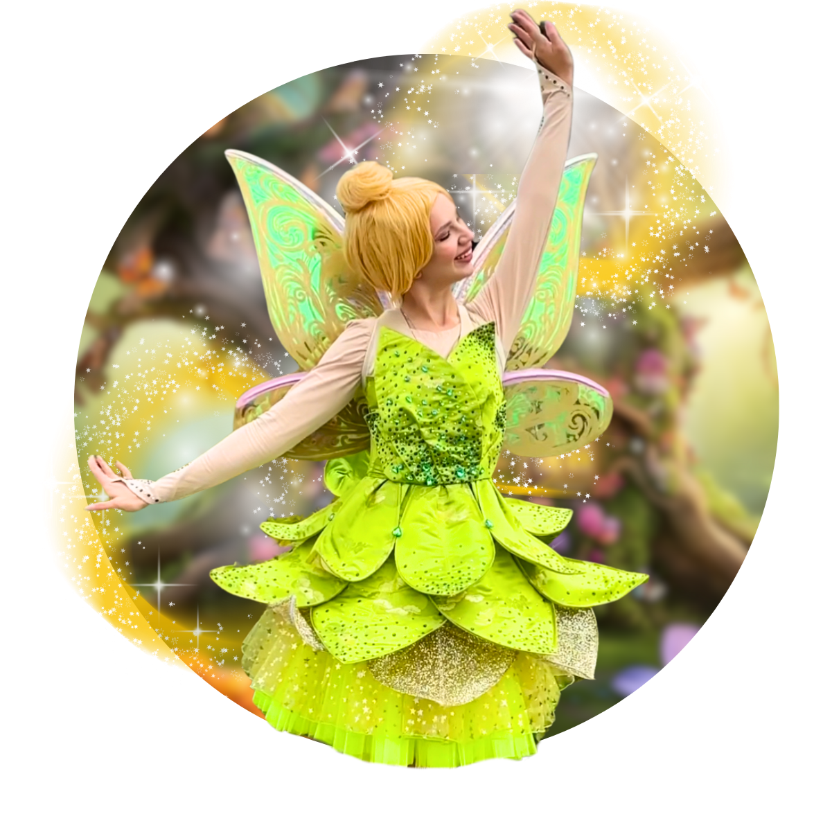 Fairy Tinker Bell