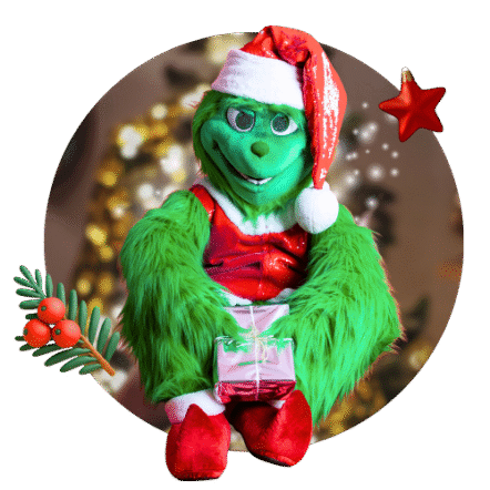 Grinch Kids Party Animator in Rotterdam